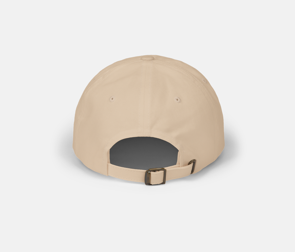 Stone Logo Hat